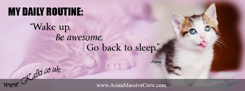 K_fbcovers_Kitty_Awesome_003.jpg