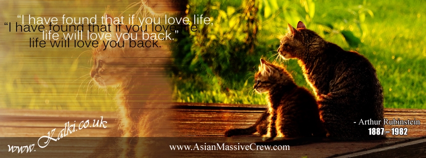 K_fbcovers_Kitty_LifeLove_0012.jpg