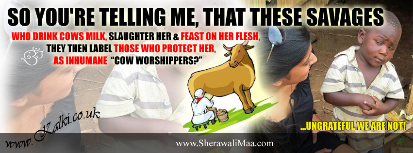 K_fbcovers_Non-Scriptural_Cows_001.jpg