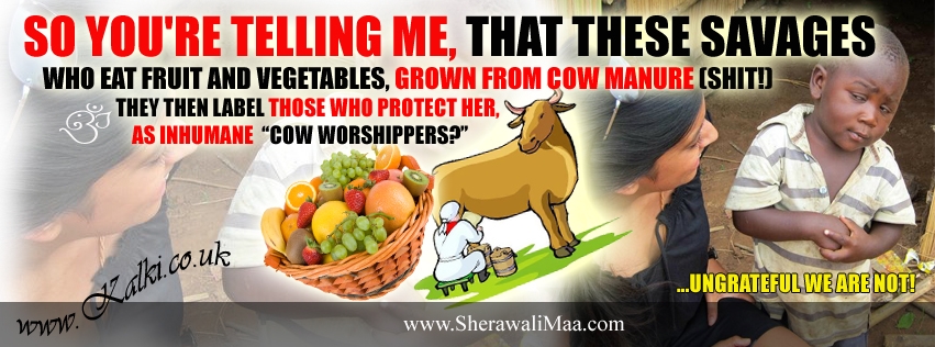 K_fbcovers_Non-Scriptural_Cows_001a.jpg