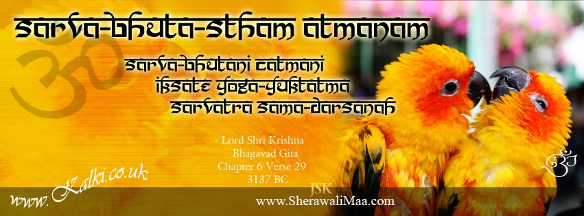 K_fbcovers_Sri_BhagavadGita_C6_V29_sk_0080c.jpg